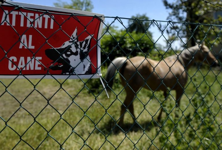 l'insostenibile leggerezza dei mass-media