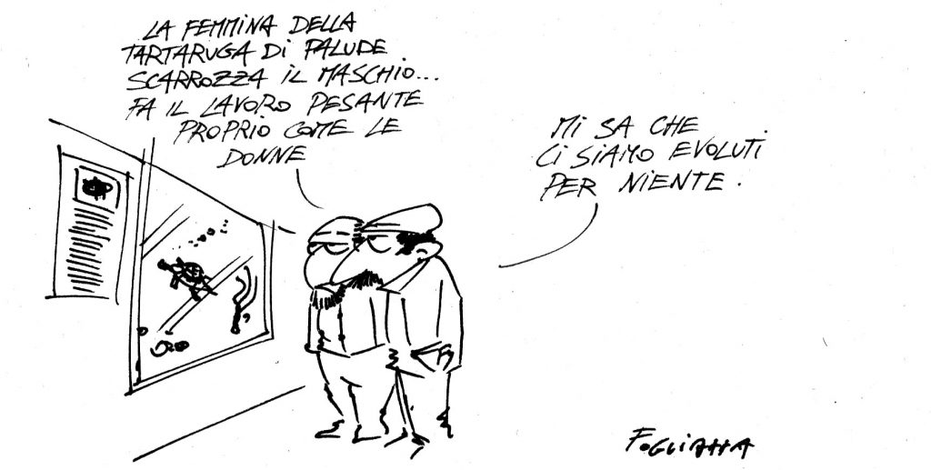 Fogliazza - PARENTESI...