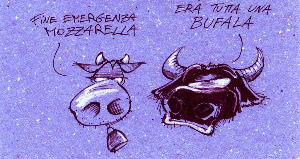 Fogliazza - VERA BUFALA ITALIANA